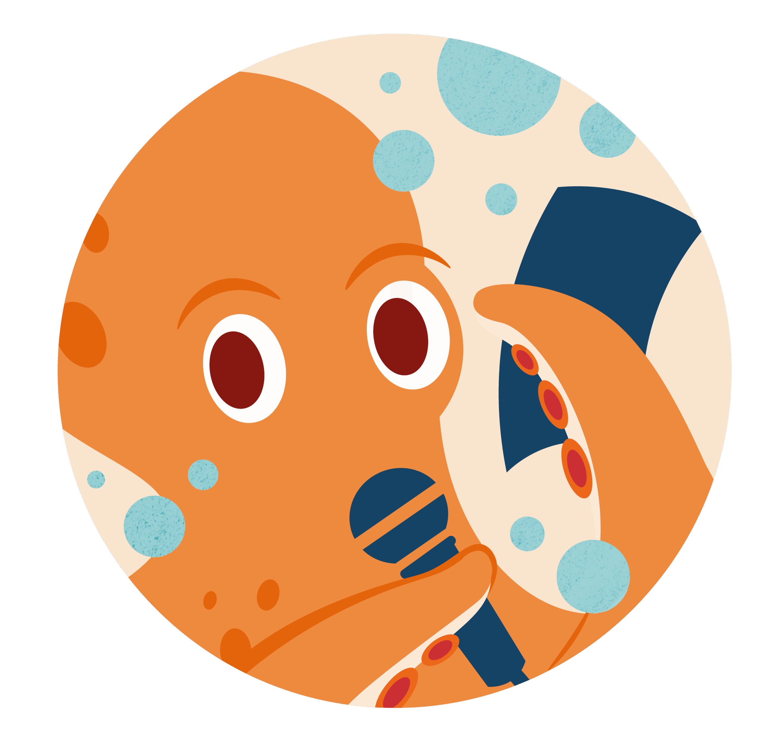 pulpos con cuadritos 02